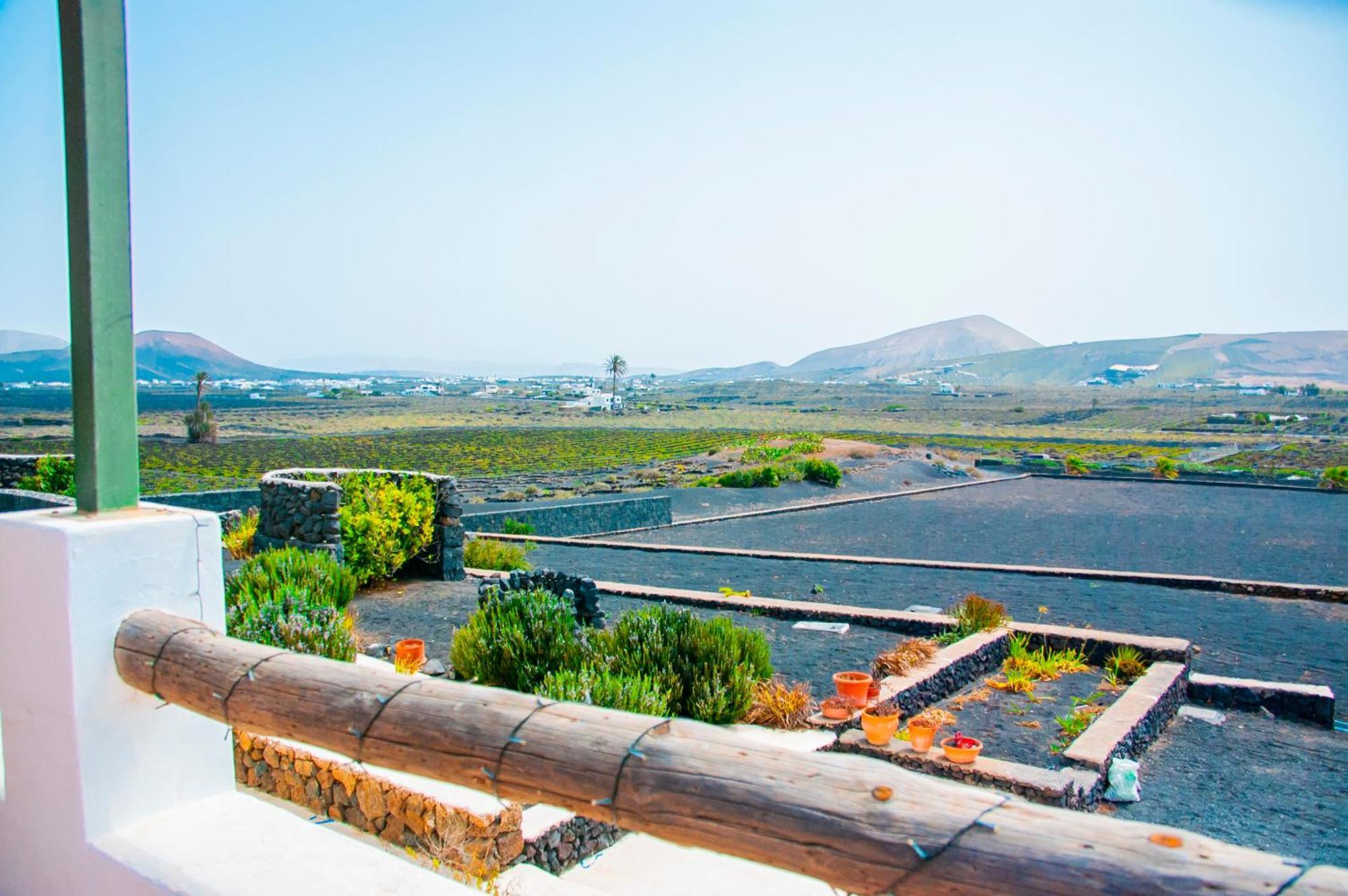 Villa Volcan Masdache Екстериор снимка